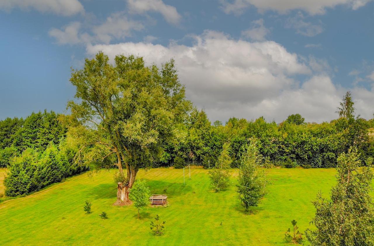 Przyjazna Osada - Domki I Apartamenty Ujście-Darłowskie Extérieur photo